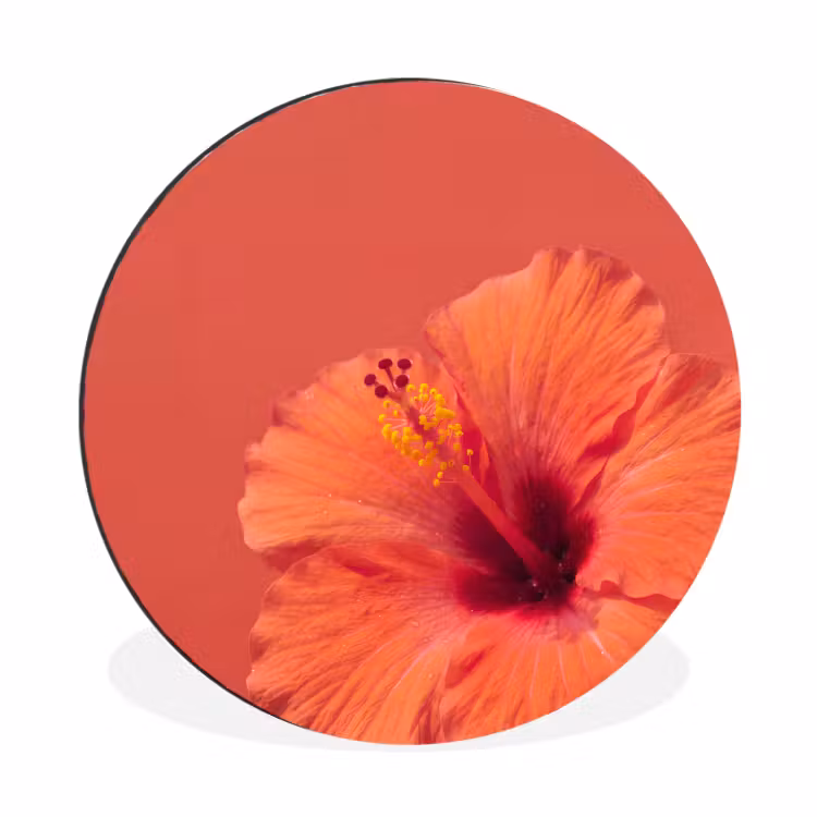 Muurcirkel aluminium - Bloemen - Oranje - Natuur — 1
