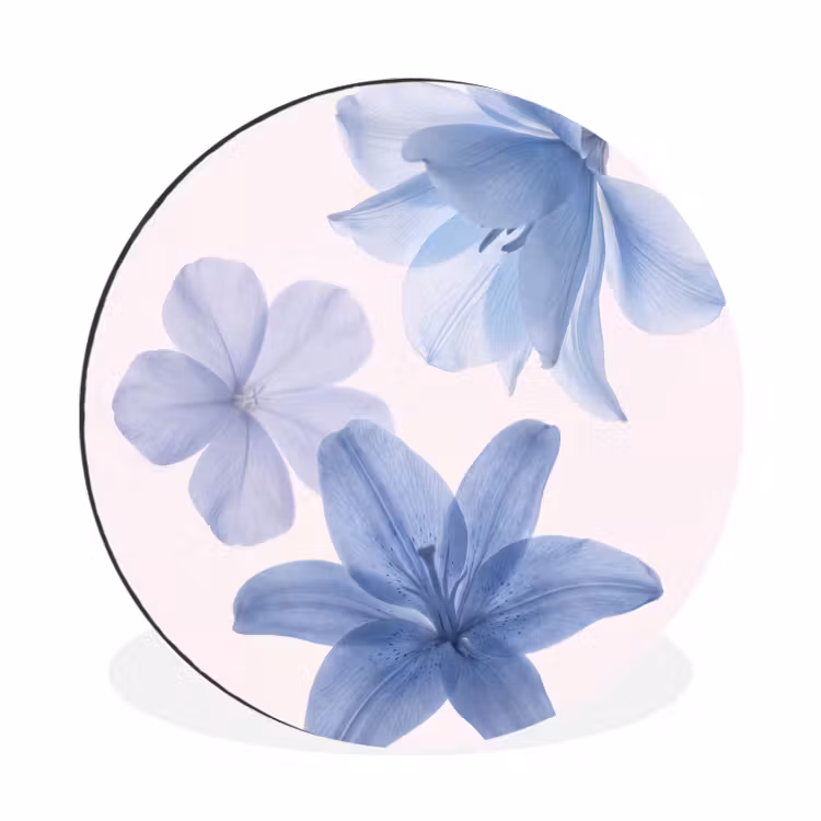 Muurcirkel aluminium - Bloemen - Transparant - Modern — 1