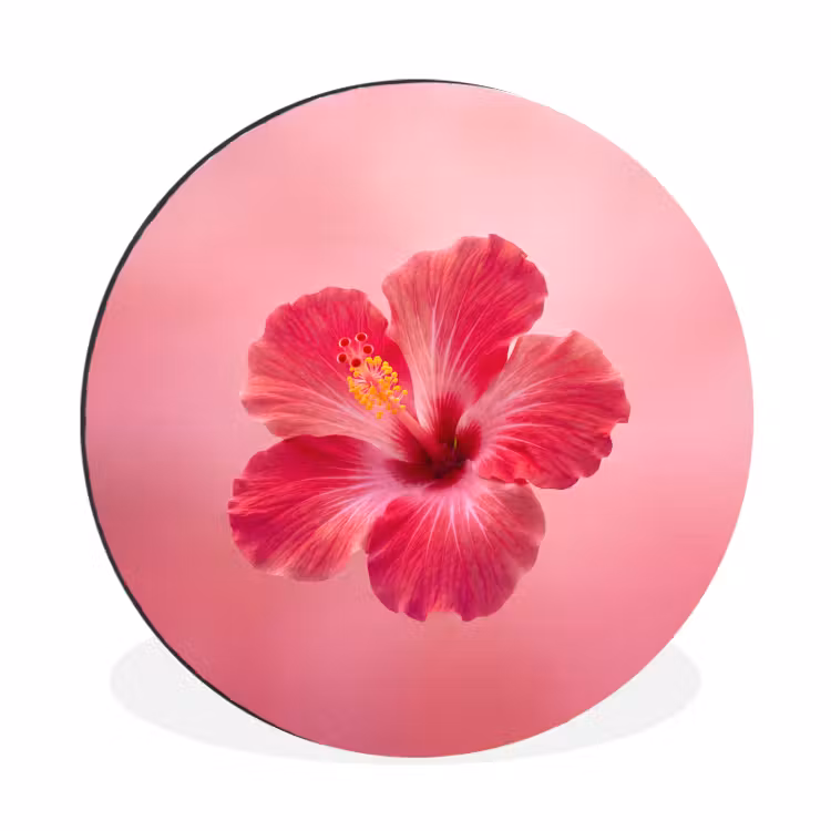 Muurcirkel aluminium - Rode bloem - Natuur — 1