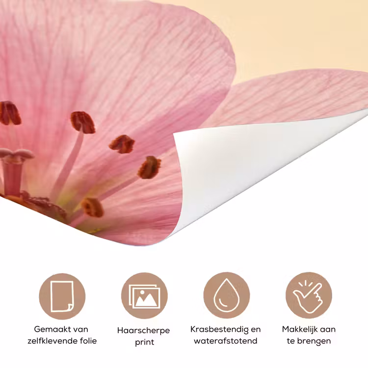 Deursticker - Bloemen - Flora - Pastel — 3