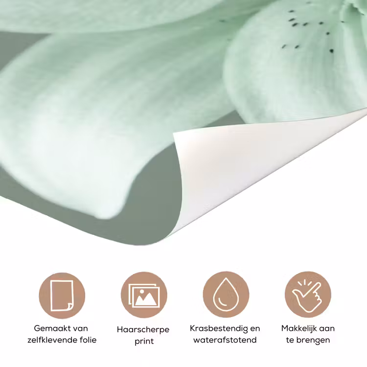 Deursticker - Bloemen - Natuur - Groen — 3