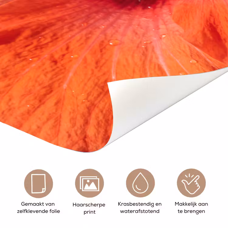 Deursticker - Bloemen - Oranje - Natuur — 3