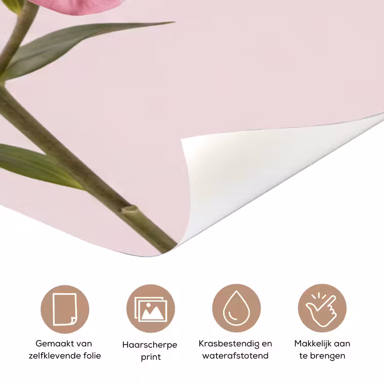 Deursticker - Bloemen - Zacht - Roze — 3
