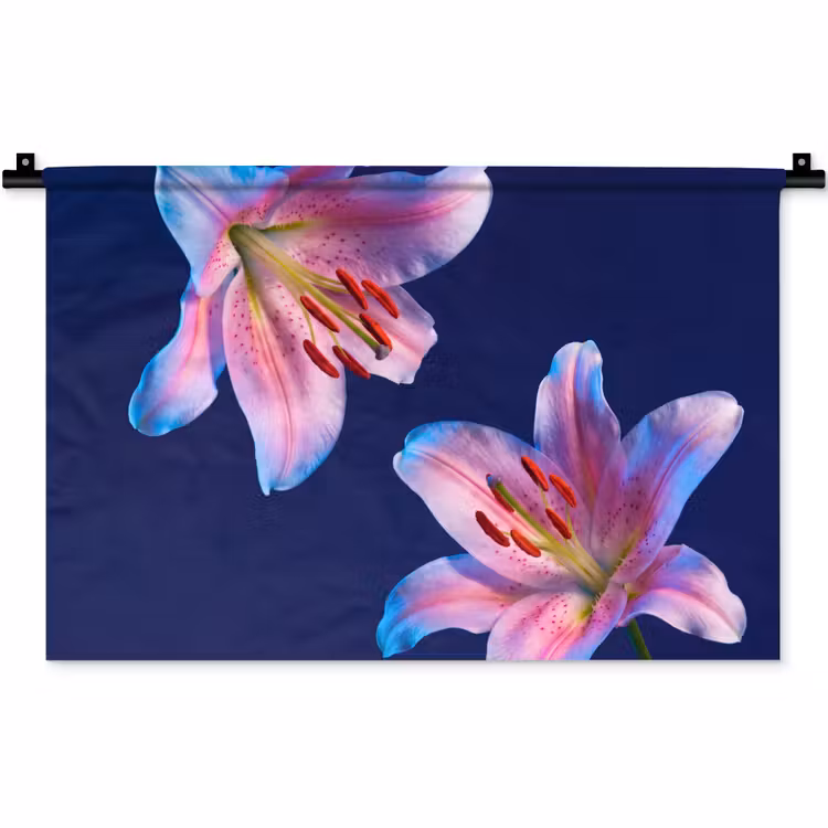 Wandkleed - Bloemen - Kleurrijk - Botanisch — 1