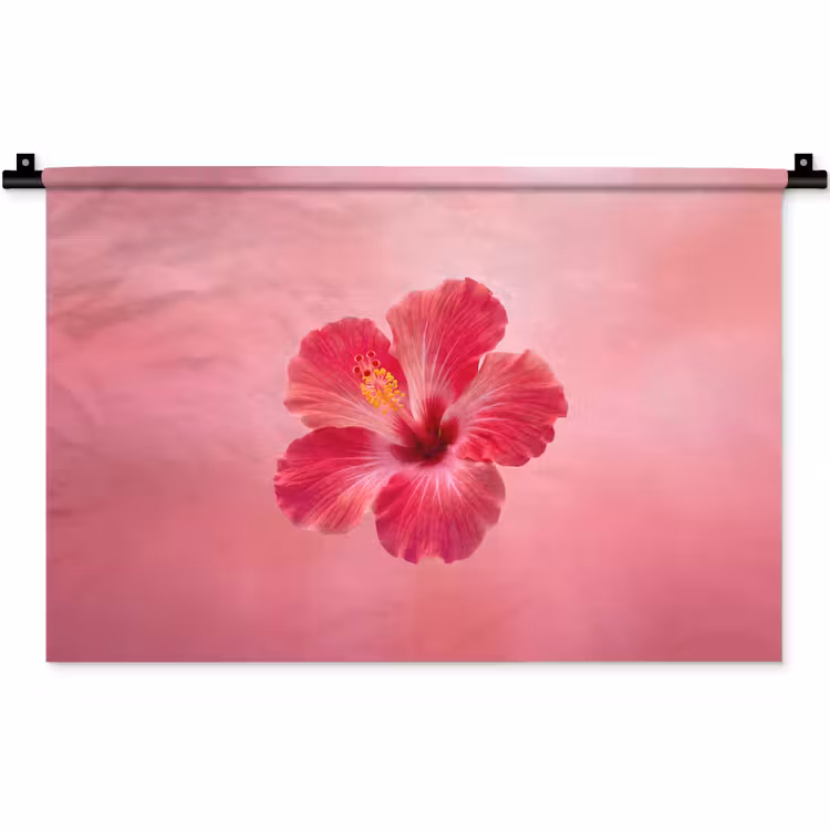 Wandkleed - Rode bloem - Natuur — 1