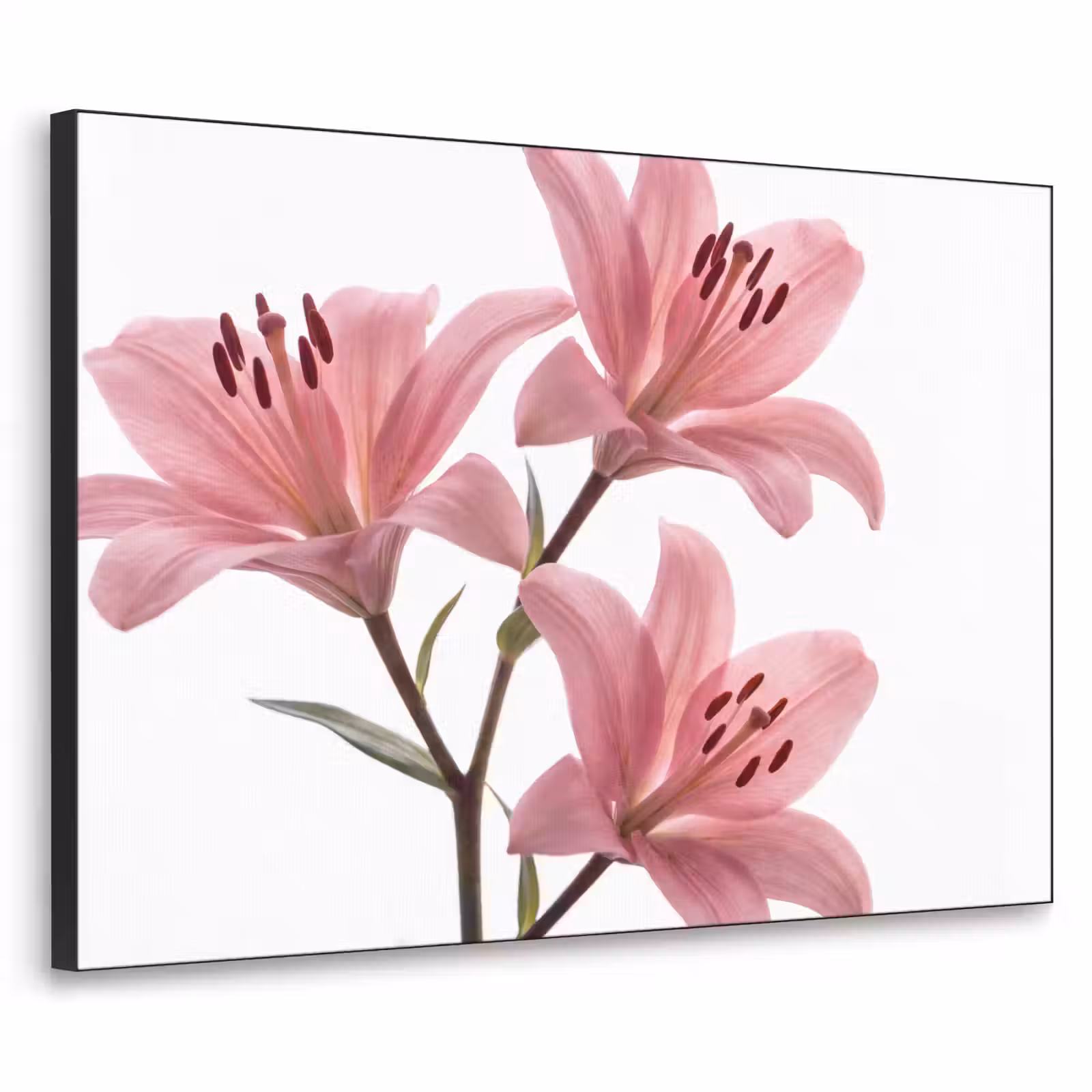 Art frame - Bloemen - Zacht - Modern — 1