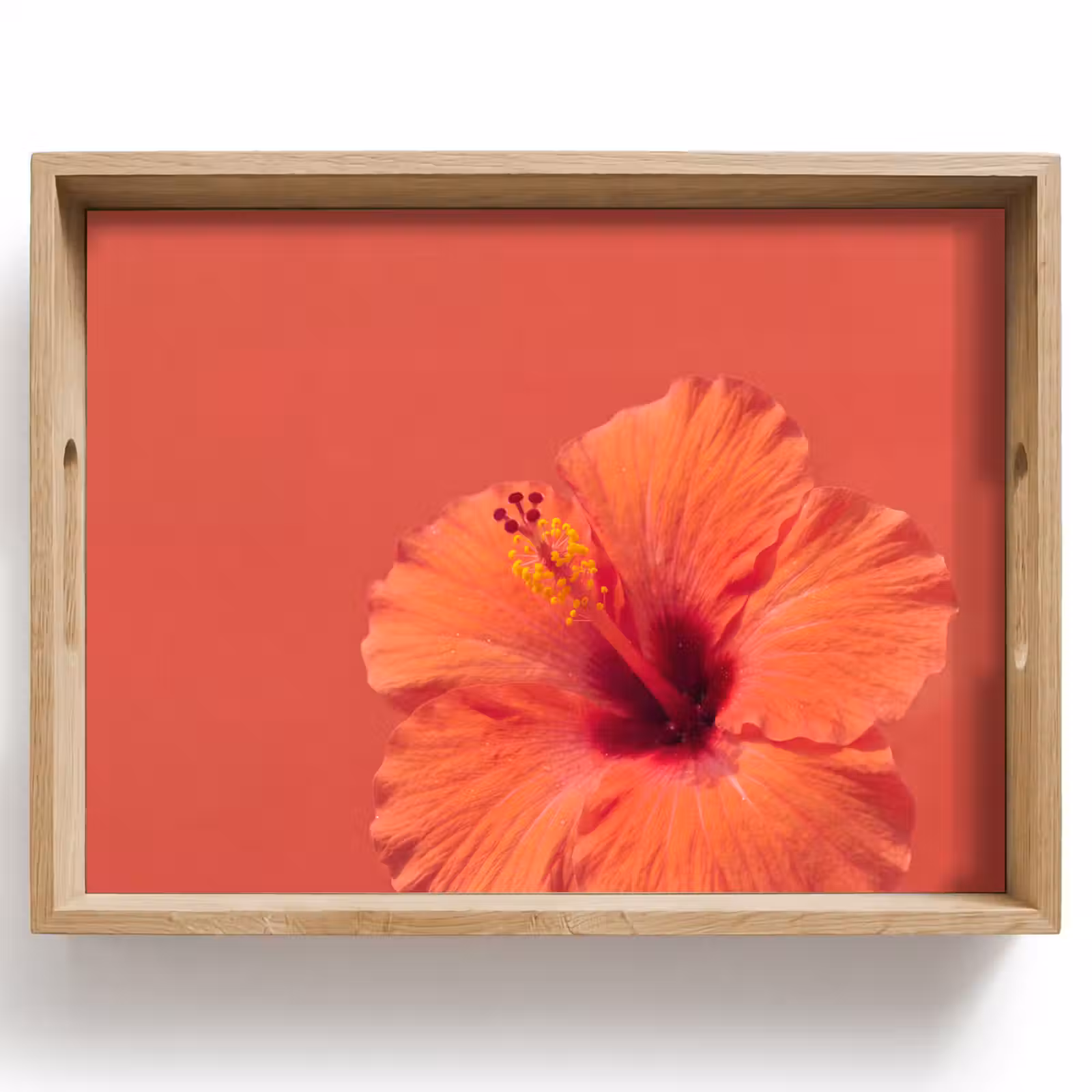 Dienblad - Bloemen - Oranje - Natuur — 1