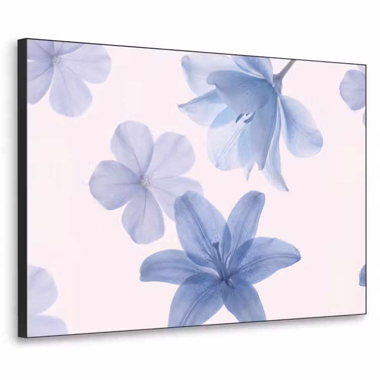 Art frame - Bloemen - Transparant - Modern — 1
