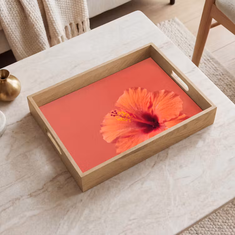 Dienblad - Bloemen - Oranje - Natuur — 2
