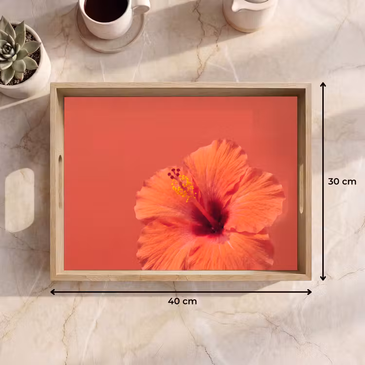 Dienblad - Bloemen - Oranje - Natuur — 9