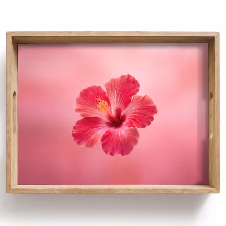Dienblad - Rode bloem - Natuur — 1