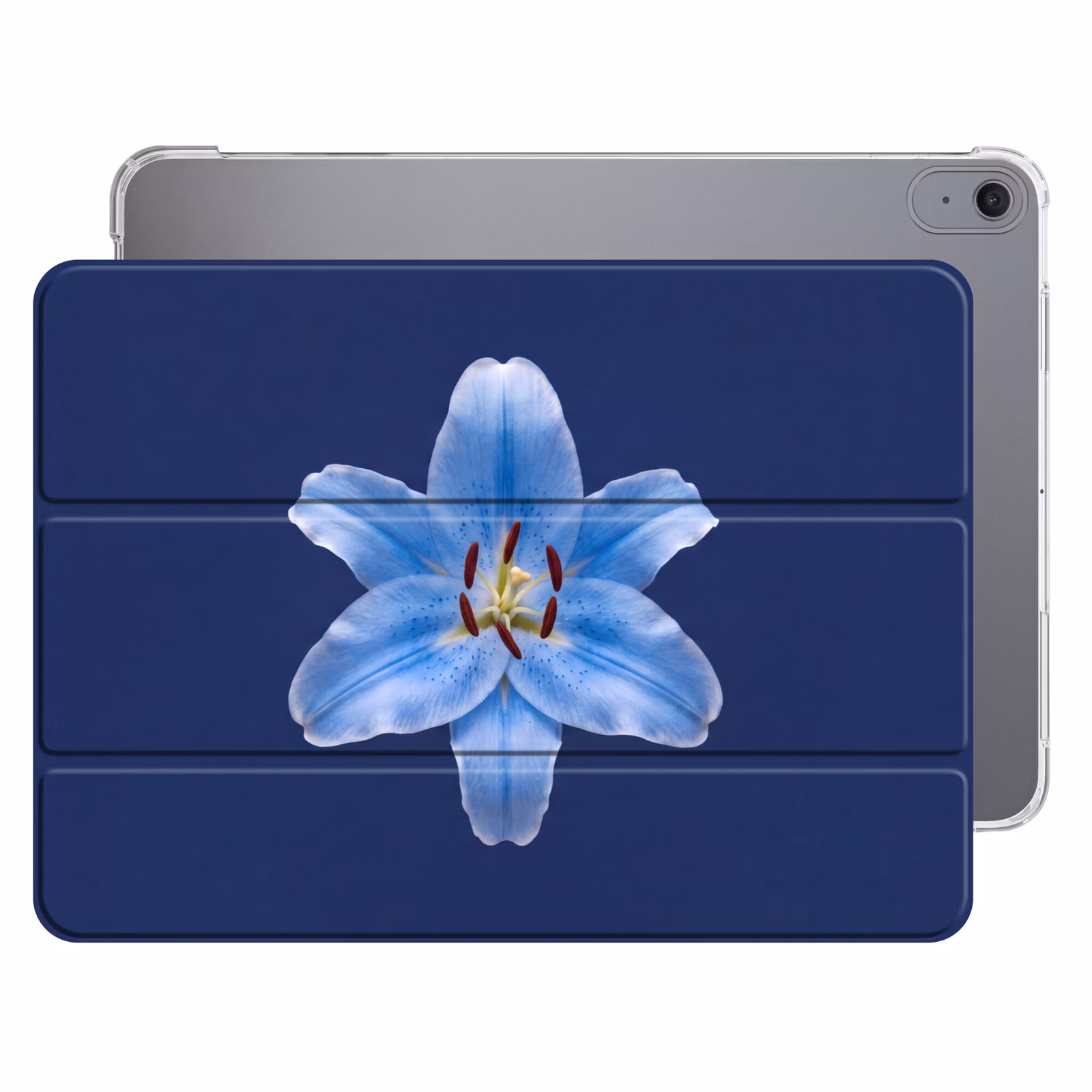 Blauwe lelie - Bloemen — 1