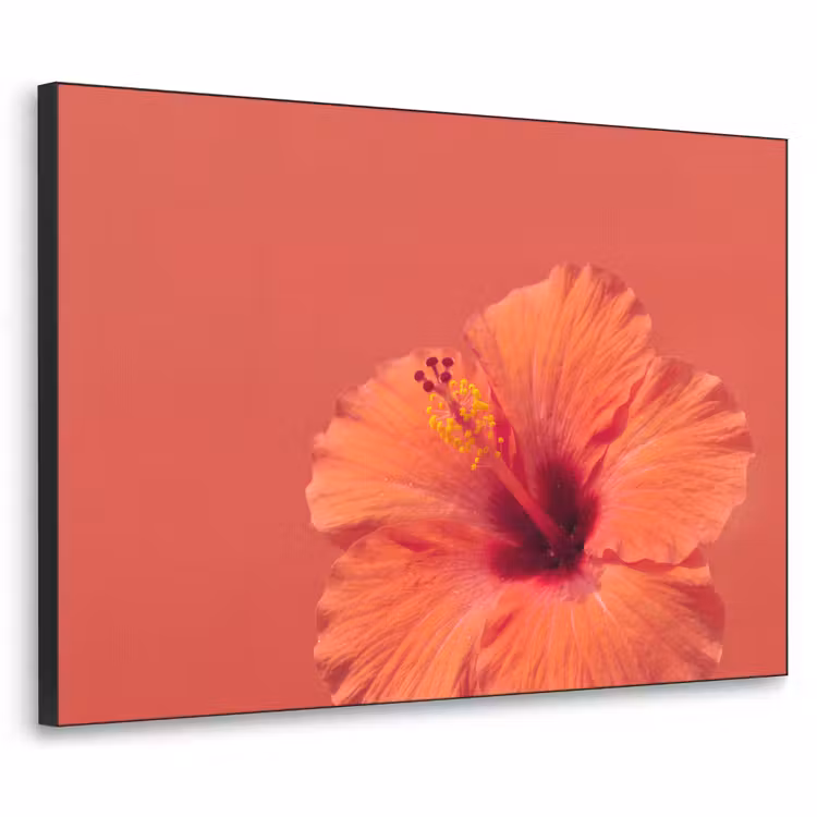 Art frame - Bloemen - Oranje - Natuur — 1