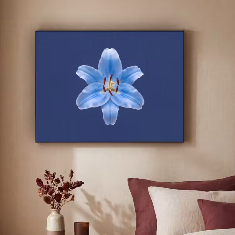 Art frame - Blauwe lelie - Bloemen — 3