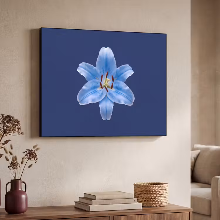 Art frame - Blauwe lelie - Bloemen — 7