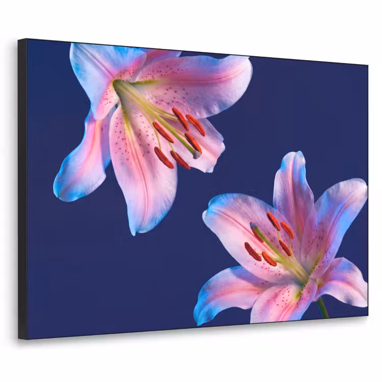 Art frame - Bloemen - Kleurrijk - Botanisch — 1