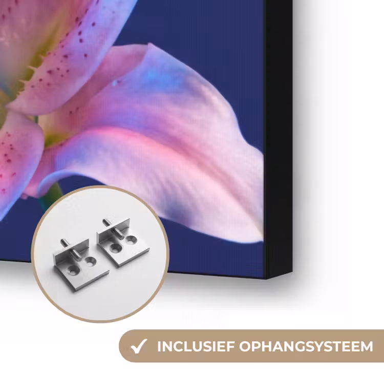 Art frame - Bloemen - Kleurrijk - Botanisch — 6