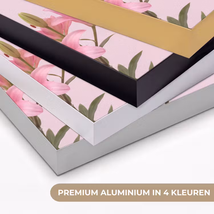 Art frame - Bloemen - Zacht - Roze — 2