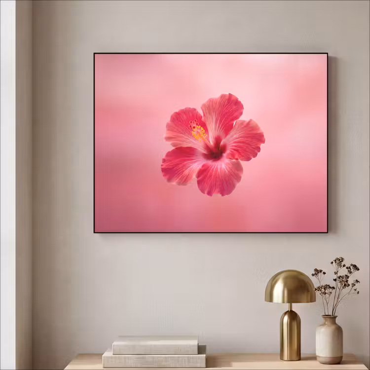 Art frame - Rode bloem - Natuur — 5