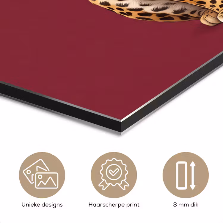 Aluminium schilderij - Kat - Dieren - Rood — 7