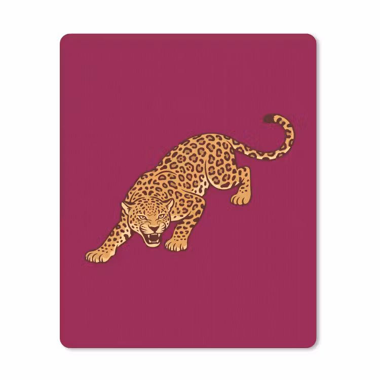 Muismat - Kat - Aanvallend - Dieren — 1