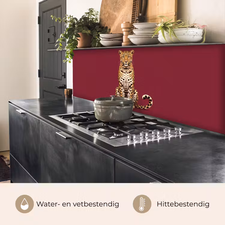 Keuken achterwand - Kat - Dieren - Rood — 5