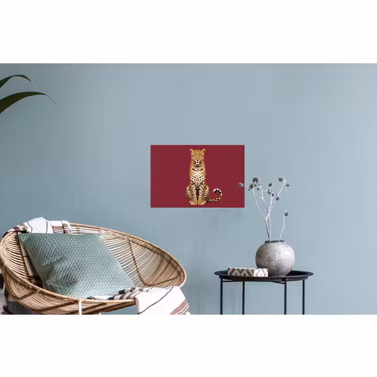 Muursticker - Kat - Dieren - Rood — 4