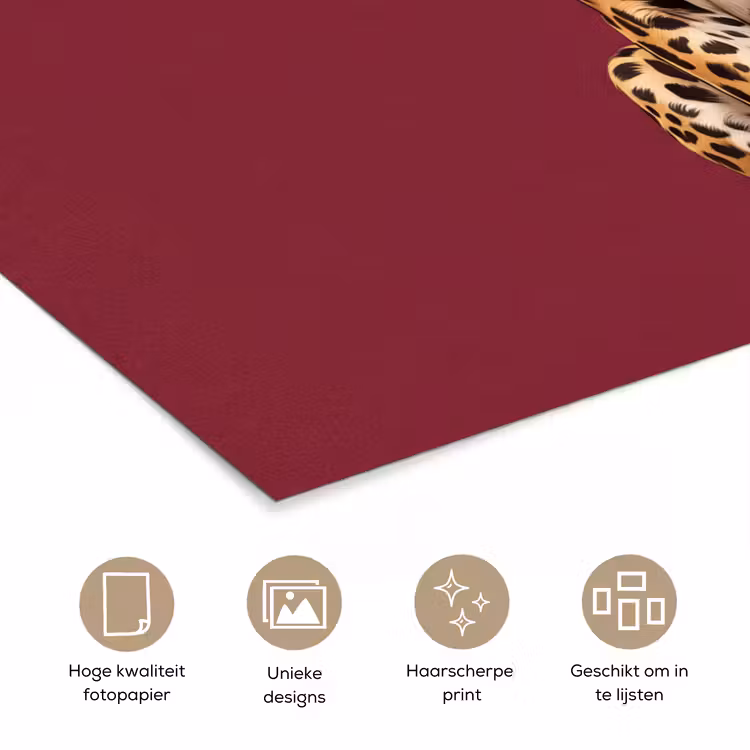 Poster - Kat - Dieren - Rood — 5
