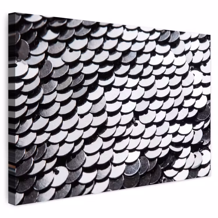 Buiten canvas - Pailletten - Zilver - Patroon — 1
