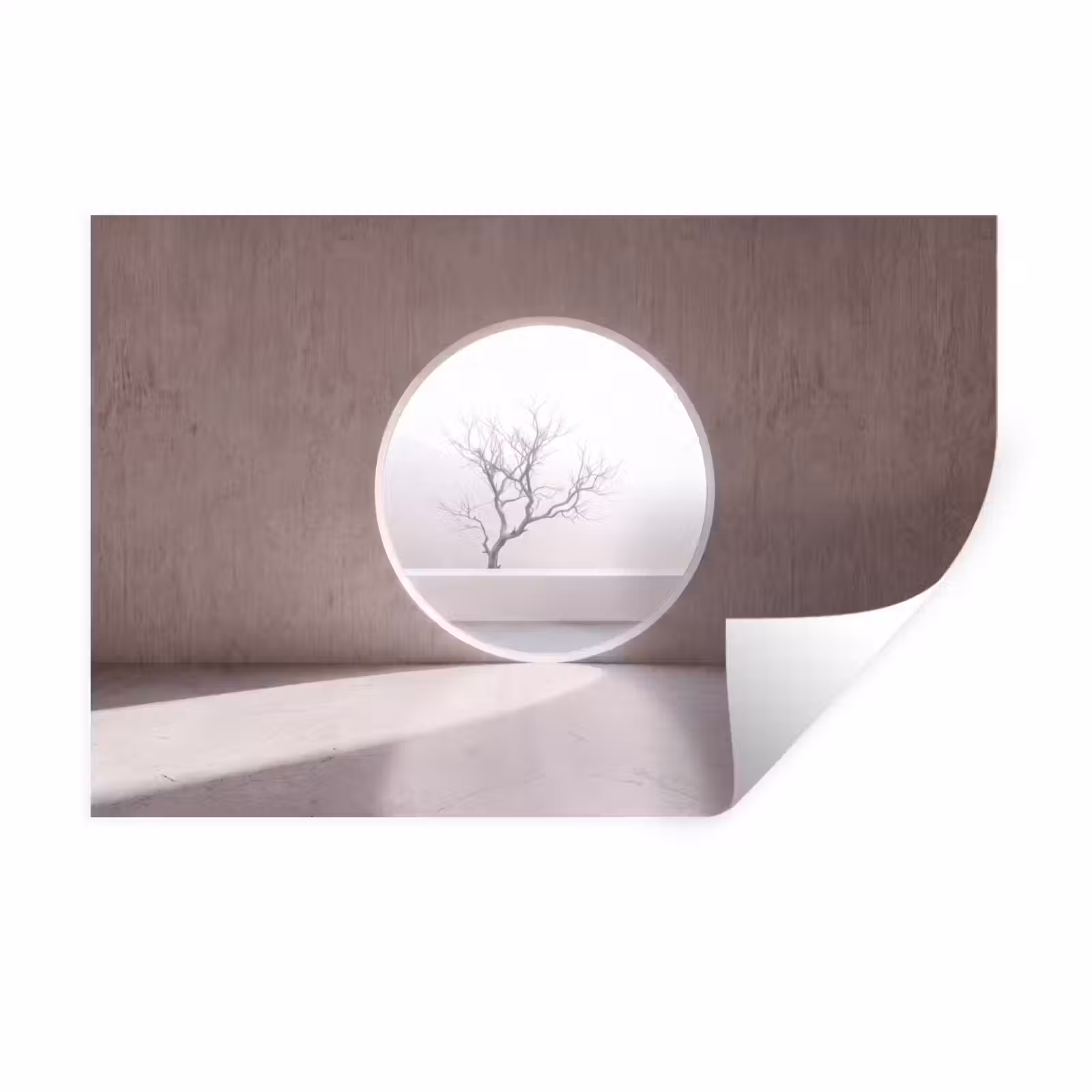 Muursticker - Boom - Cirkel - Modern — 1
