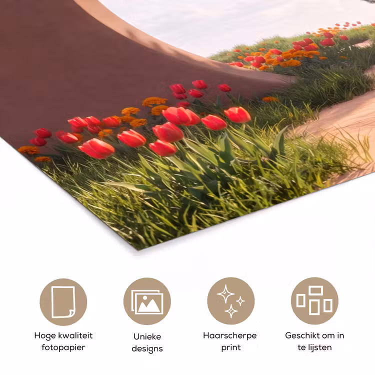 Poster - Pad - Bloemen - Natuur — 5