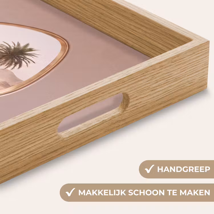 Dienblad - Kameel - Woestijn - Natuur — 5
