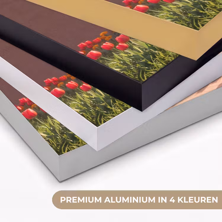 Art frame - Pad - Bloemen - Natuur — 2