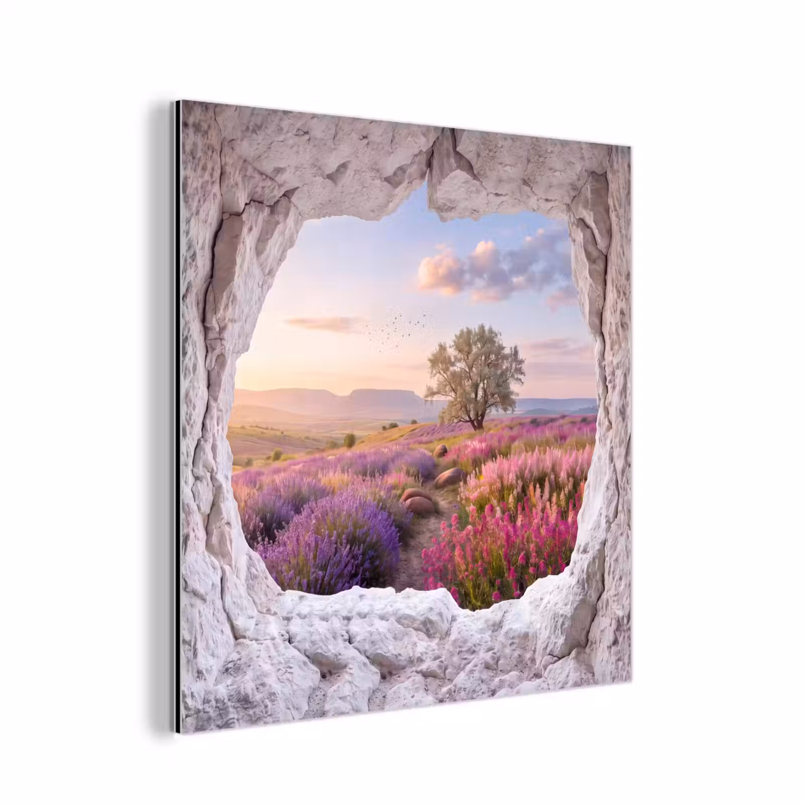 Aluminium schilderij - Bloemen - Pad - Natuur — 1