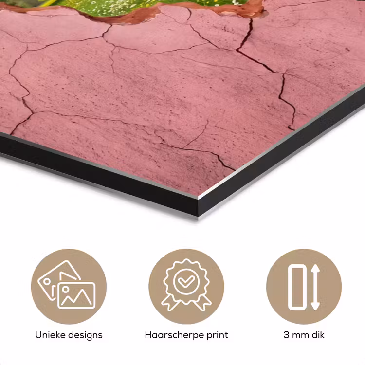 Aluminium schilderij - Natuur - Lente - Zon — 7