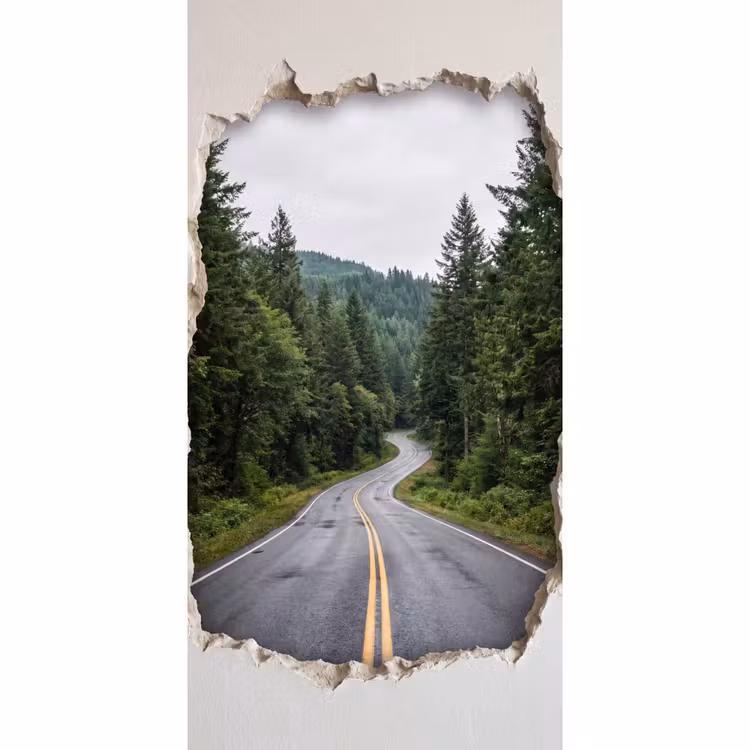 Behang - Weg - Bos - Natuur — 2
