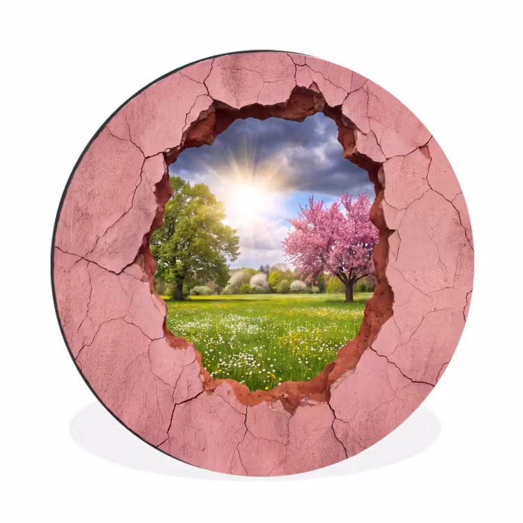 Muurcirkel aluminium - Natuur - Lente - Zon — 1