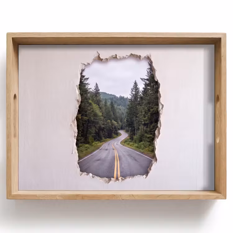 Dienblad - Weg - Bos - Natuur — 1