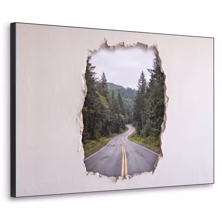 Art frame - Weg - Bos - Natuur — 1