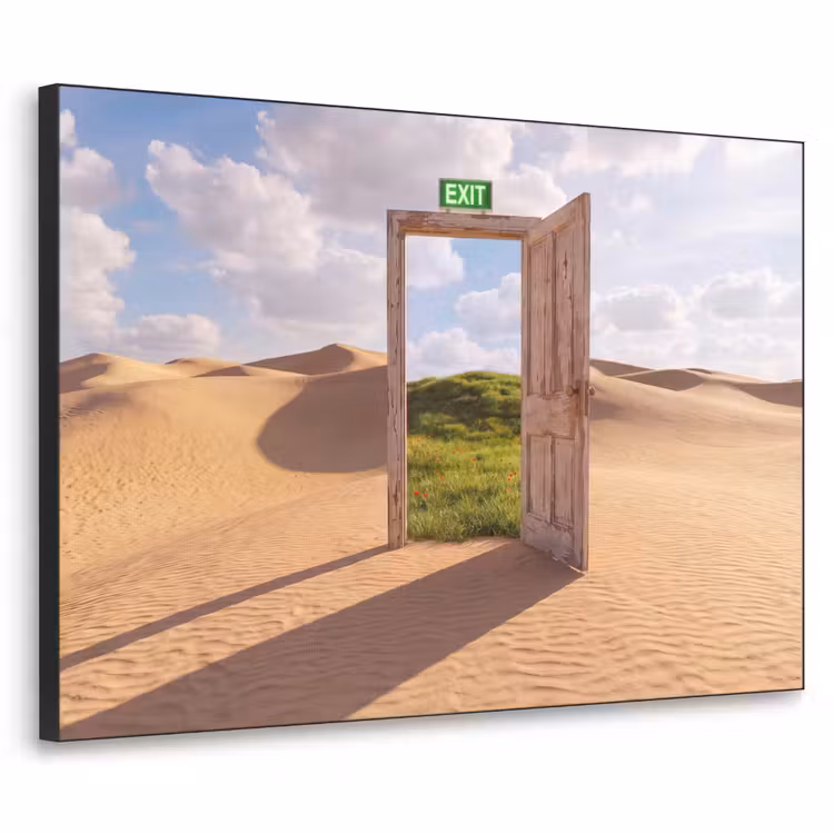 Art frame - Deur - Woestijn - Gras — 1