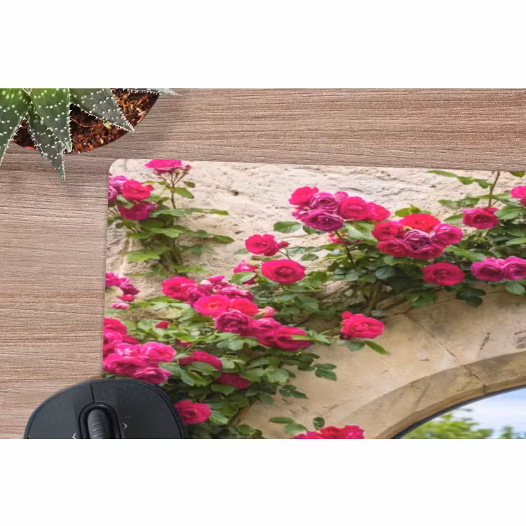 Muismat - Boog - Landschap - Natuur — 5