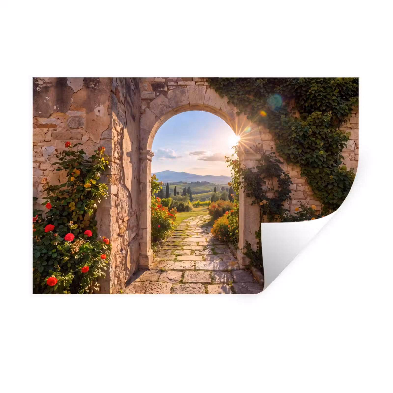Muursticker - Pad - Tuin - Zonnig — 1