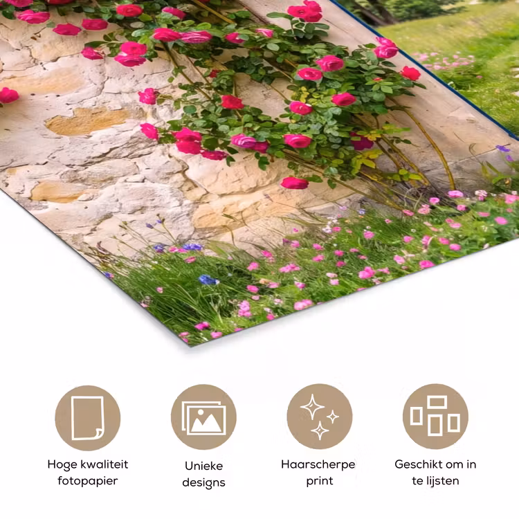 Poster - Boog - Landschap - Natuur — 5