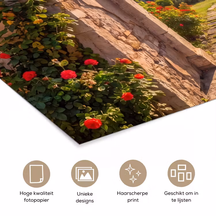 Poster - Pad - Tuin - Zonnig — 5