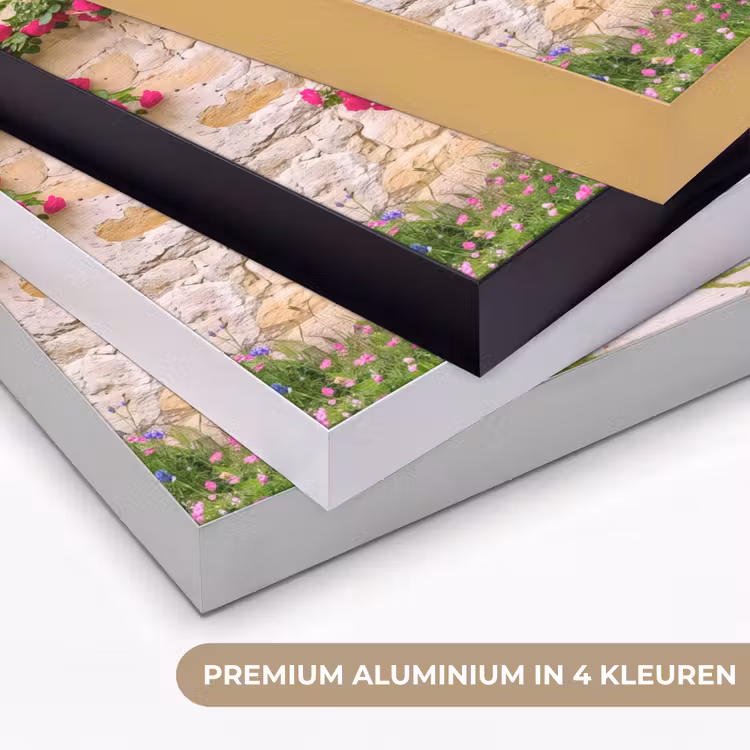 Art frame - Boog - Landschap - Natuur — 2