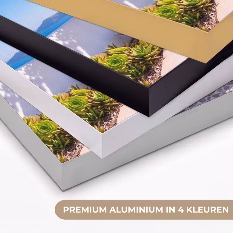 Art frame - Deur - Zee - Natuur — 2