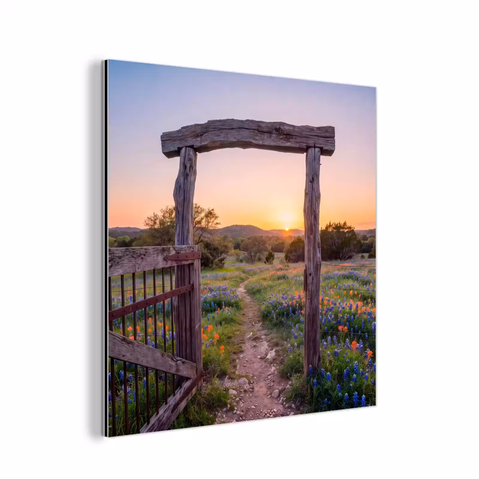 Aluminium schilderij - Poort - Bloemen - Natuur — 1