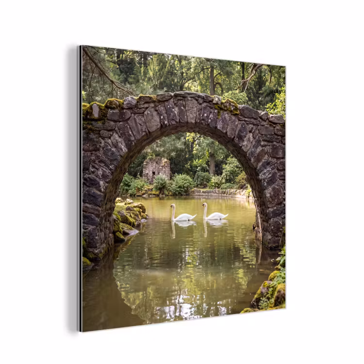 Aluminium schilderij - Vogel - Water - Natuur — 1