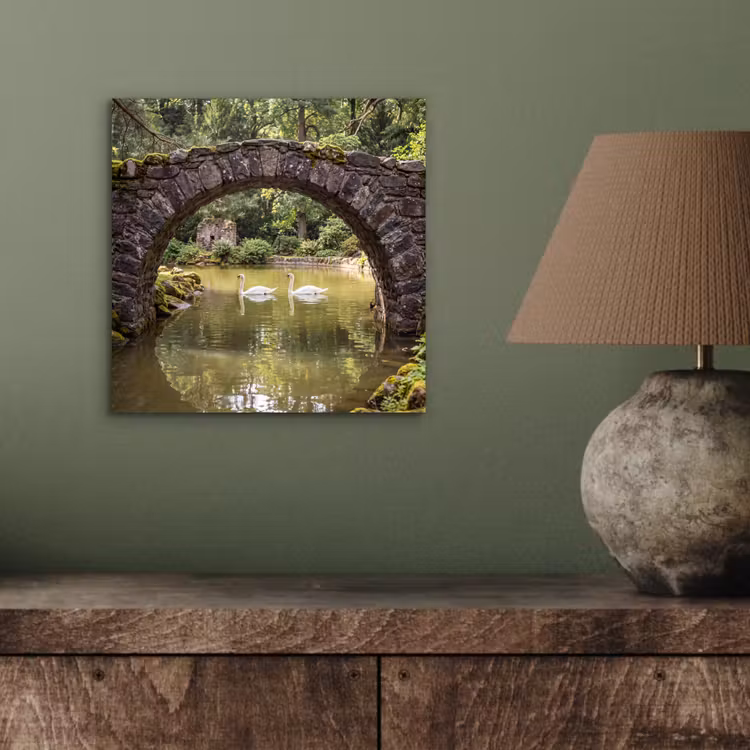 Aluminium schilderij - Vogel - Water - Natuur — 3