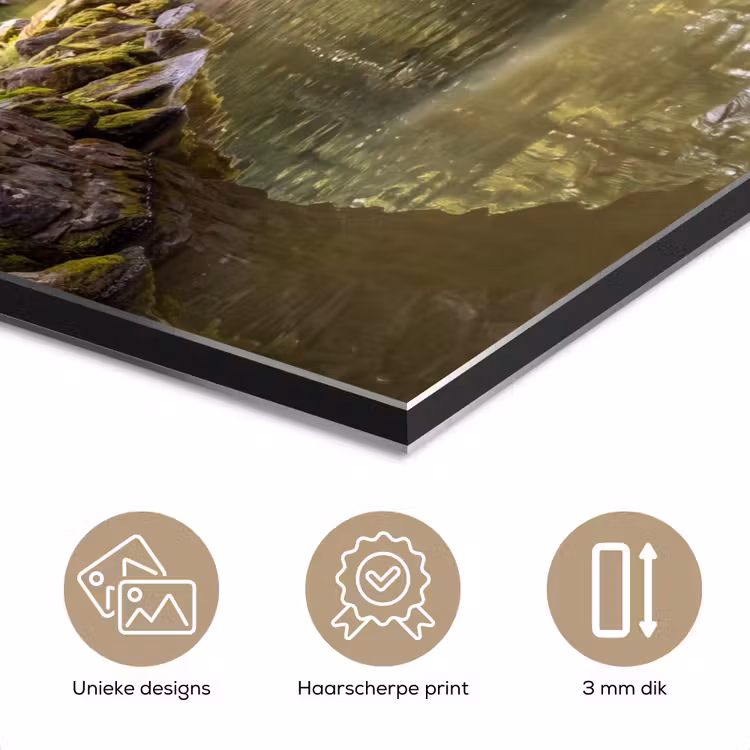 Aluminium schilderij - Vogel - Water - Natuur — 7